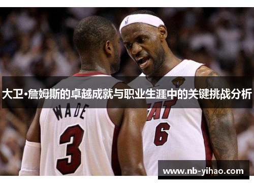 大卫·詹姆斯的卓越成就与职业生涯中的关键挑战分析